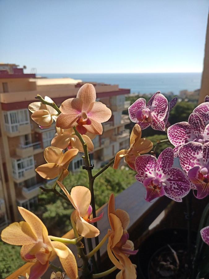 Sweet Home Benalmadena, Estudio Con Vistas Al Mar Y Excelente Conexion Wifi, Para No Fumadores, Con Piscinas, Sea Views, With Swimming Pools, Completely Renovated, Ideal For Older People, Bright With Morning Sun, No Smoking Dış mekan fotoğraf